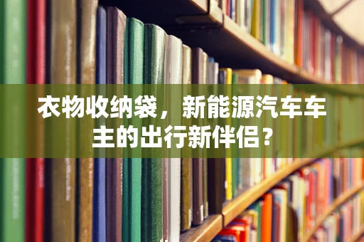 衣物收纳袋，新能源汽车车主的出行新伴侣？
