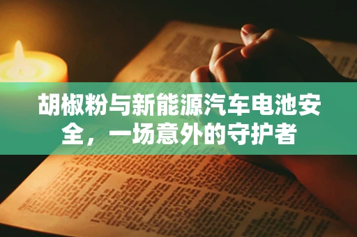 胡椒粉与新能源汽车电池安全，一场意外的守护者