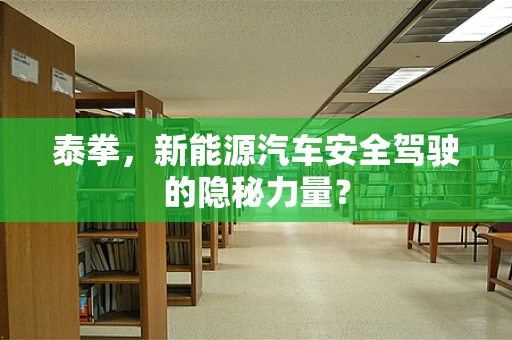 泰拳，新能源汽车安全驾驶的隐秘力量？