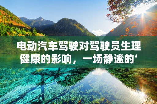 电动汽车驾驶对驾驶员生理健康的影响，一场静谧的‘路考’