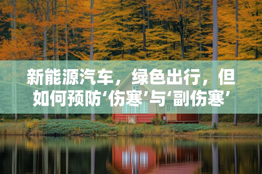 新能源汽车，绿色出行，但如何预防‘伤寒’与‘副伤寒’的‘侵袭’？