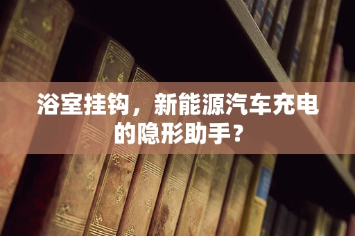浴室挂钩，新能源汽车充电的隐形助手？