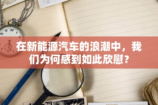 在新能源汽车的浪潮中，我们为何感到如此欣慰？