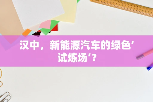 汉中，新能源汽车的绿色‘试炼场’？