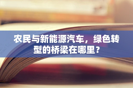 农民与新能源汽车，绿色转型的桥梁在哪里？