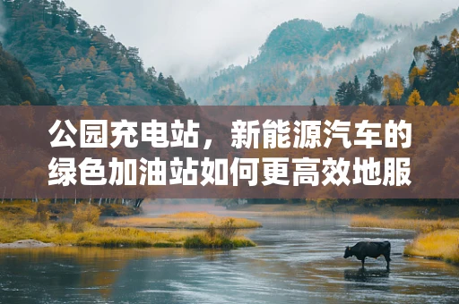 公园充电站，新能源汽车的绿色加油站如何更高效地服务？