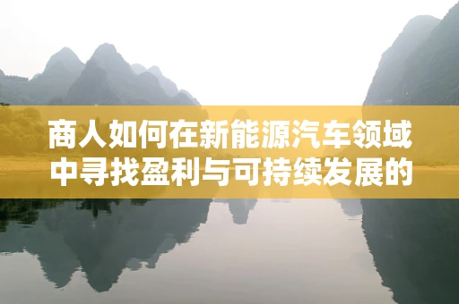 商人如何在新能源汽车领域中寻找盈利与可持续发展的平衡点？