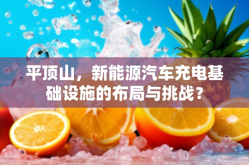 平顶山，新能源汽车充电基础设施的布局与挑战？