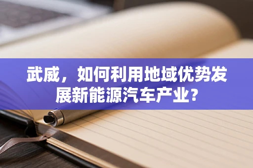 武威，如何利用地域优势发展新能源汽车产业？