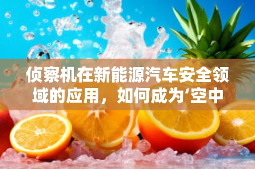 侦察机在新能源汽车安全领域的应用，如何成为‘空中哨兵’？