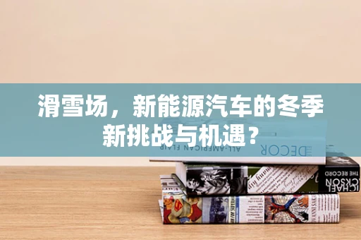 滑雪场，新能源汽车的冬季新挑战与机遇？