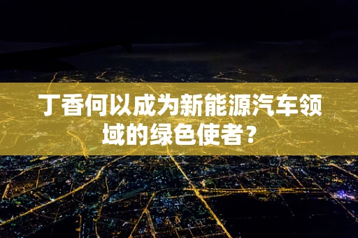 丁香何以成为新能源汽车领域的绿色使者？