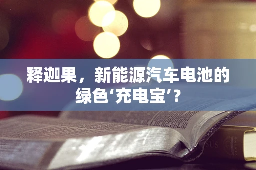 释迦果，新能源汽车电池的绿色‘充电宝’？