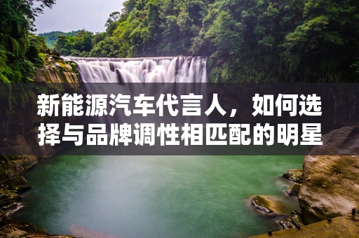 新能源汽车代言人，如何选择与品牌调性相匹配的明星？
