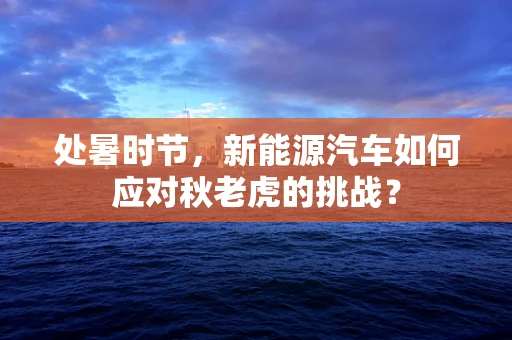 处暑时节，新能源汽车如何应对秋老虎的挑战？