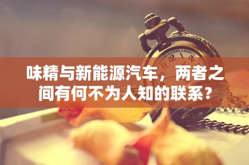 味精与新能源汽车，两者之间有何不为人知的联系？