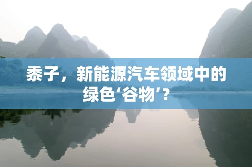 黍子，新能源汽车领域中的绿色‘谷物’？