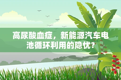高尿酸血症，新能源汽车电池循环利用的隐忧？