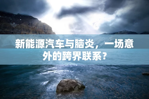 新能源汽车与脑炎，一场意外的跨界联系？