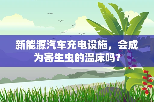 新能源汽车充电设施，会成为寄生虫的温床吗？