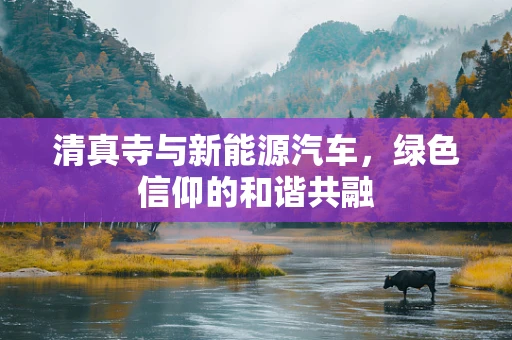 清真寺与新能源汽车，绿色信仰的和谐共融