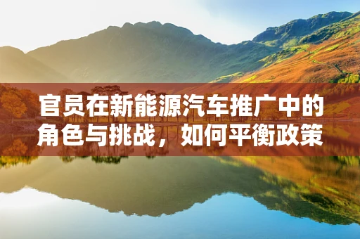 官员在新能源汽车推广中的角色与挑战，如何平衡政策制定与市场实际？