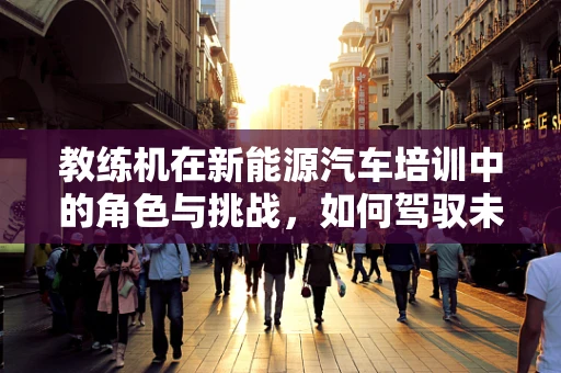 教练机在新能源汽车培训中的角色与挑战，如何驾驭未来？