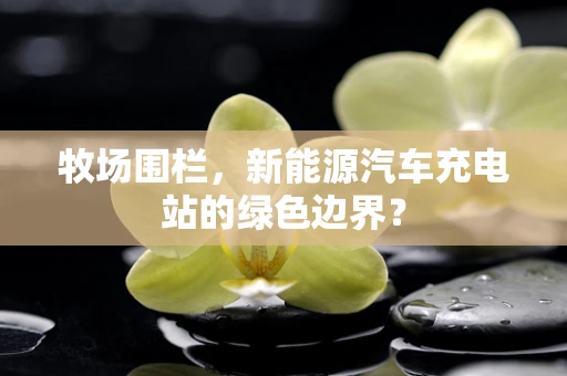 牧场围栏，新能源汽车充电站的绿色边界？