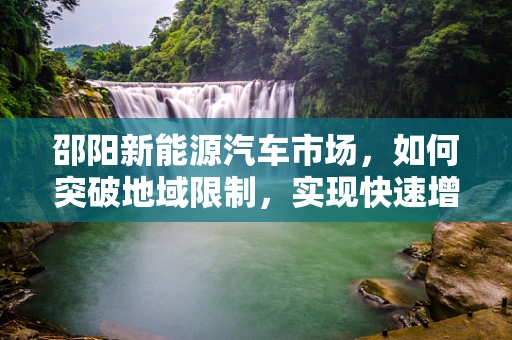 邵阳新能源汽车市场，如何突破地域限制，实现快速增长？