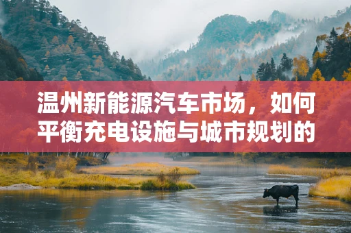 温州新能源汽车市场，如何平衡充电设施与城市规划的‘双赢’？