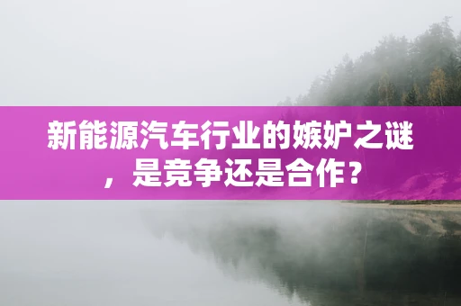 新能源汽车行业的嫉妒之谜，是竞争还是合作？