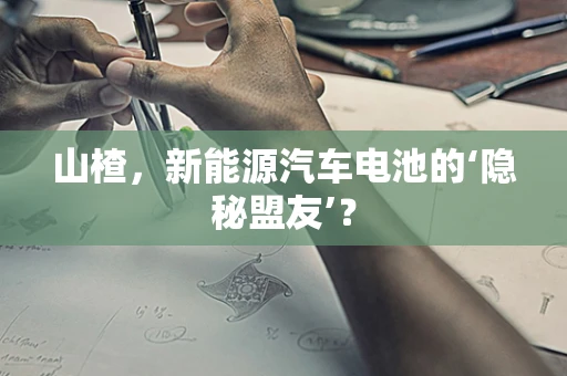 山楂，新能源汽车电池的‘隐秘盟友’？