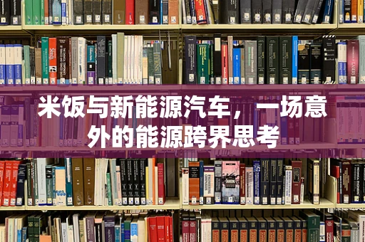 米饭与新能源汽车，一场意外的能源跨界思考