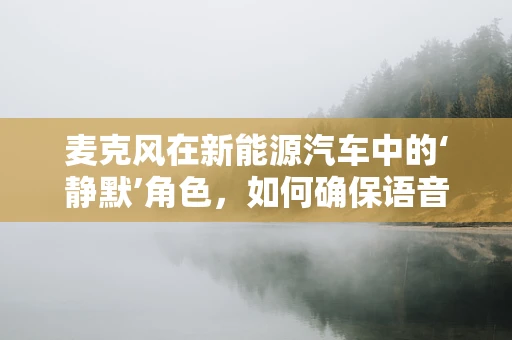 麦克风在新能源汽车中的‘静默’角色，如何确保语音交互的精准与安全？