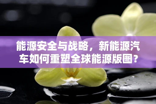 能源安全与战略，新能源汽车如何重塑全球能源版图？