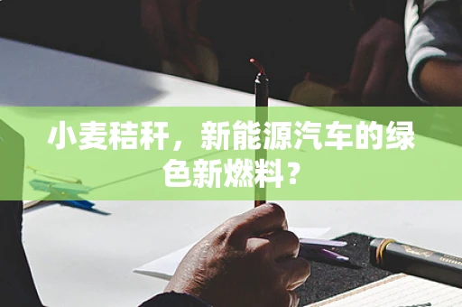 小麦秸秆，新能源汽车的绿色新燃料？