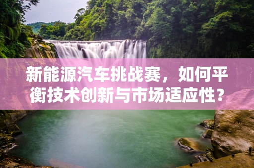 新能源汽车挑战赛，如何平衡技术创新与市场适应性？