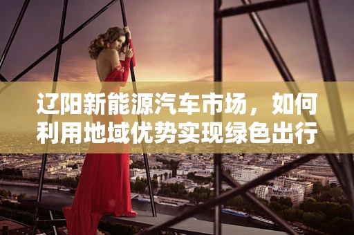 辽阳新能源汽车市场，如何利用地域优势实现绿色出行新篇章？