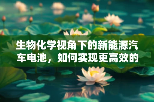 生物化学视角下的新能源汽车电池，如何实现更高效的能量转换？