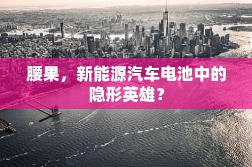 腰果，新能源汽车电池中的隐形英雄？