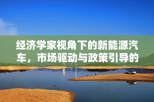 经济学家视角下的新能源汽车，市场驱动与政策引导的平衡点何在？
