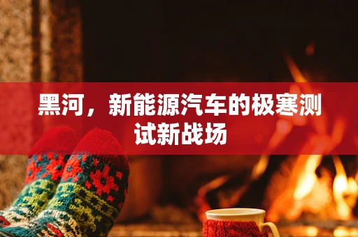 黑河，新能源汽车的极寒测试新战场