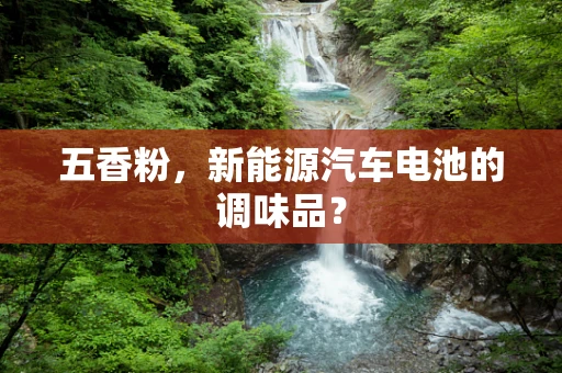 五香粉，新能源汽车电池的调味品？