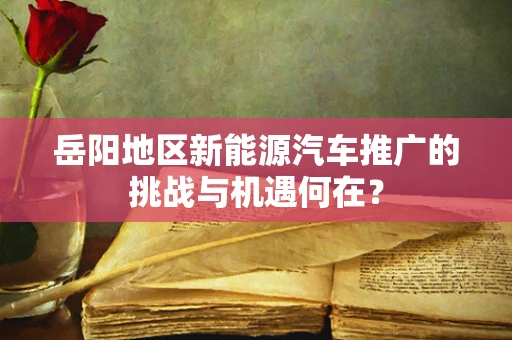 岳阳地区新能源汽车推广的挑战与机遇何在？