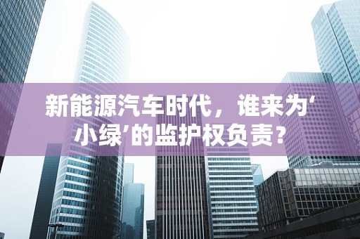 新能源汽车时代，谁来为‘小绿’的监护权负责？