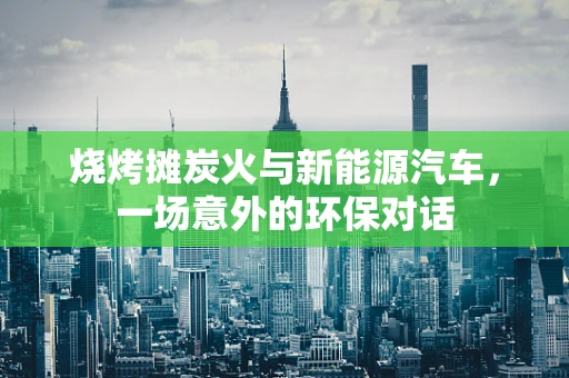 烧烤摊炭火与新能源汽车，一场意外的环保对话