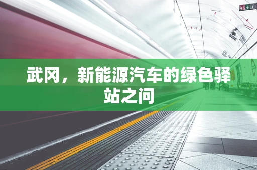武冈，新能源汽车的绿色驿站之问