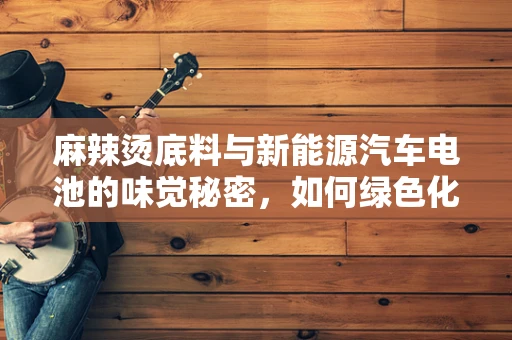 麻辣烫底料与新能源汽车电池的味觉秘密，如何绿色化烹饪与动力源的和谐共生？
