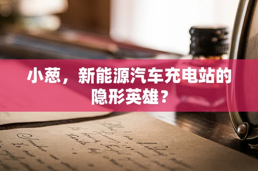 小葱，新能源汽车充电站的隐形英雄？