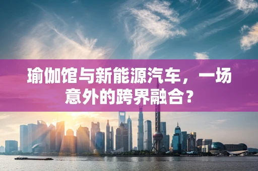 瑜伽馆与新能源汽车，一场意外的跨界融合？